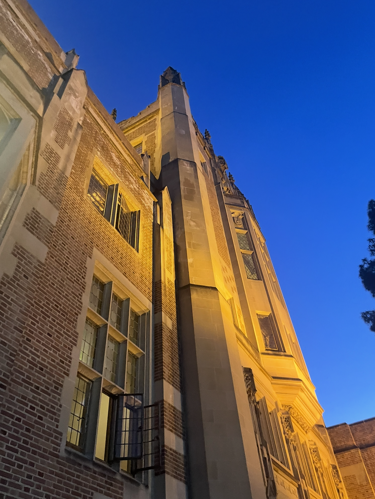 ucla